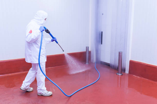Best Solar Panel Cleaning  in Pajaro, CA